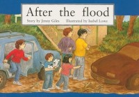 Image of AFTER THE FLOOD