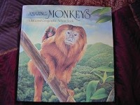 Image of AMAZING MONKEYS: A NATIONAL GEOGRAPHIC ACTION BOOK