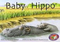 Image of BABY HIPPO