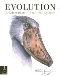 Image of BEAUTIFUL: A CELEBRATION OF EVOLUTION
