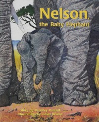 Image of Nelson the Baby Elephant