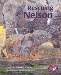 Image of Rescuing Nelson
