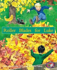 Image of Roller Blades for Luke