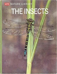 Image of THE INSECTS