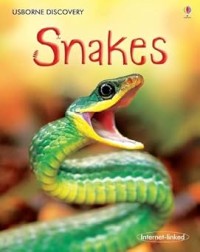 Image of URBORNE DISCOVERY: SNAKES