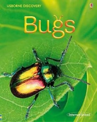 Image of USBORNE DISCOVERY: BUGS