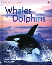 Image of USBORNE DISCOVERY: WHALES AND DOLPHINS