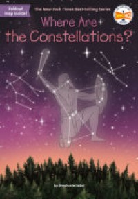 Image of WHERE ARE THE CONSTELLATIONS?