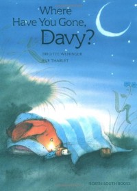 Image of Where Have you Gone, Davy?